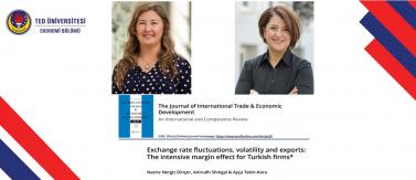 Exchange rate fluctuations, volatilit and exports: The intensive margin effect for Turkish firms