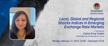 Local, Global and Regional Shocks Indices in Emerging Exchange Rate Markets - Fatma Pınar Erdem